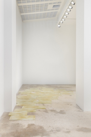 Simone Fattal, Golden Sea, 2023 , Greene Naftali