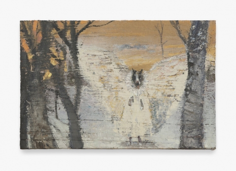 Seth Becker, Dog in Butterfly Costume, 2025 , Gladstone Gallery