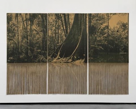 Ana González, , , Sean Kelly