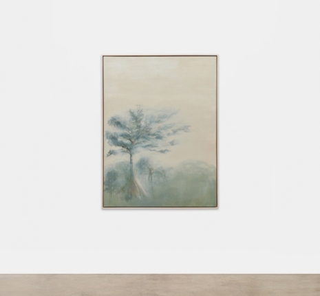 Ana González, LA CEIBA, 2025 , Sean Kelly