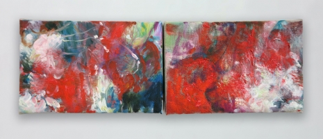 Kristy Chan, Mandarin Ducks, 2025 , Sean Kelly