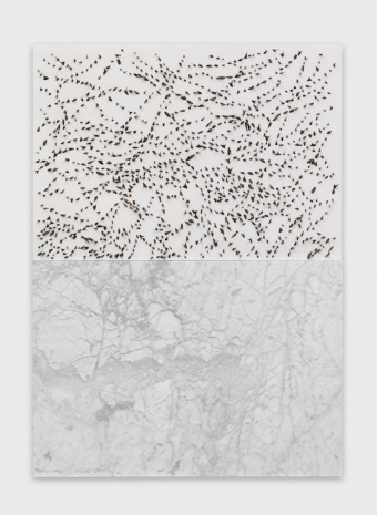 Giuseppe Penone , Pelle di marmo e spine d’accacia, Giacinta, 2007 , Hindergässli