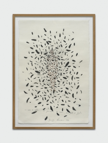 Guiseppe Penone , Un’ aura di colori, di pensieri, di suoni, una pelle di foglie, 1999 , Hindergässli