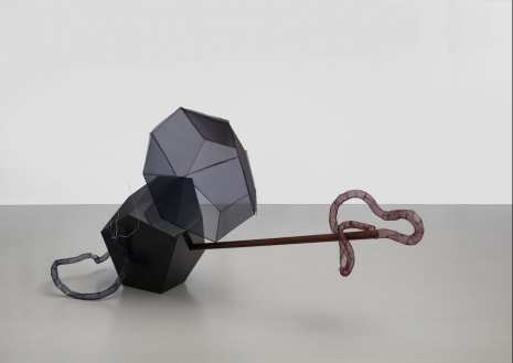 Hu Xiaoyuan, Carpel IV, 2025 , Modern Art