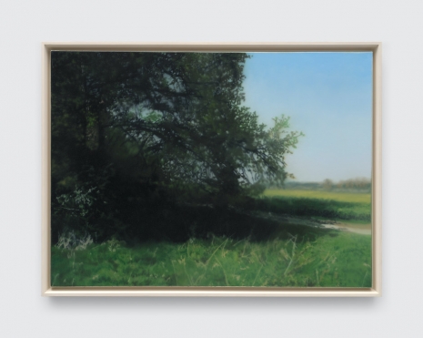 Gerhard Richter, Buche (Beech Tree), 1987, David Zwirner