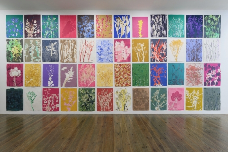 Piet Dieleman , Herbarium, 2020-2022 , Slewe Gallery