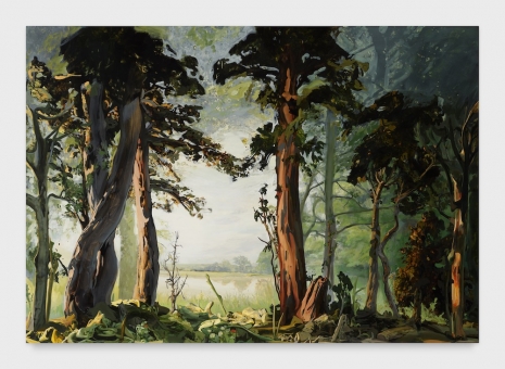 Emma Webster, Weyerwood, 2026 , Petzel Gallery