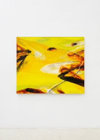 Nguyễn Tấn Cương , UnLled, from Outer Field, 2025 , galerie frank elbaz