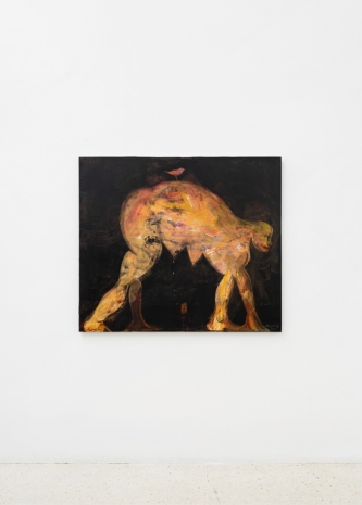 Đỗ Hoàng Tường , Pink Bird, 2025, galerie frank elbaz