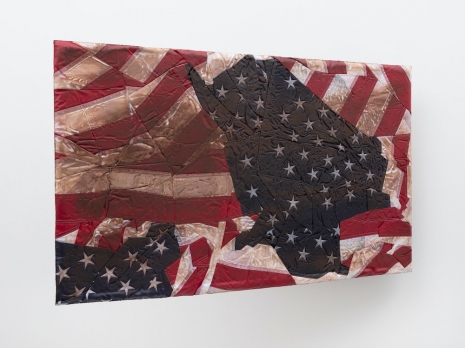 Josh Kline, Reality Television 9, 2019 , Hauser & Wirth