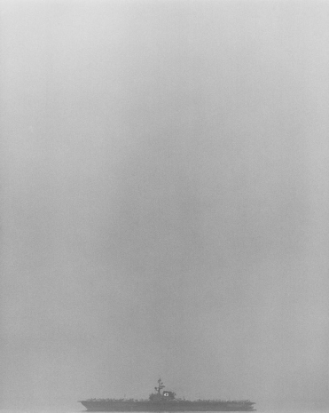 Robert Mapplethorpe, Coral Sea, 1983 , Gladstone Gallery