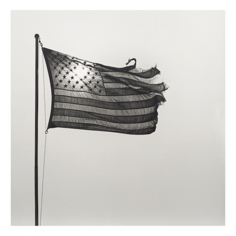 Robert Mapplethorpe, American Flag, 1977 , Gladstone Gallery