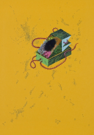 Wardha Shabbir , The Eternal Essence, 2025 , Sabrina Amrani