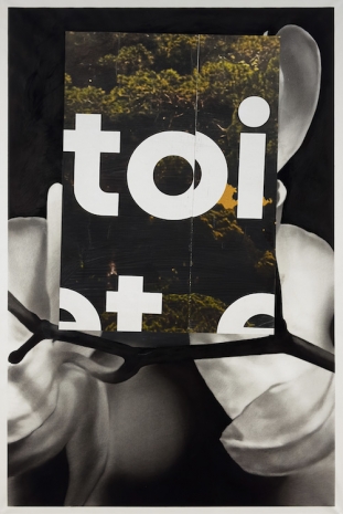 Valentin Van der Meulen, Picture Porn 2, 2025 , Au Cube