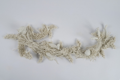 Diego Cibelli , Metamorphosis, 2025 , Galerie Mezzanin