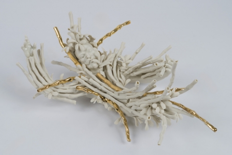 Diego Cibelli , Douceur des formes, 2025 , Galerie Mezzanin