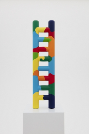 Paola Pivi, I am happy with the ladder, 2019 , Perrotin