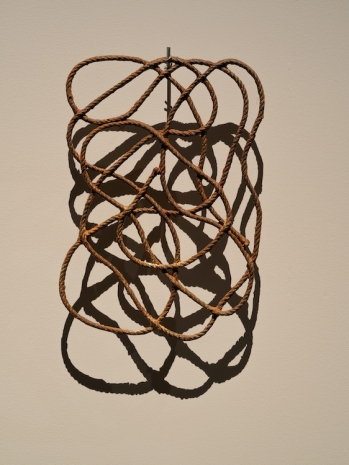 Amol K Patil, The Shadow of Lustre XVI, 2024 , Galerie Peter Kilchmann