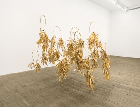 Sonya Kelliher-Combs, Idiot Strings, Fringe, 2026 , Andrew Kreps Gallery