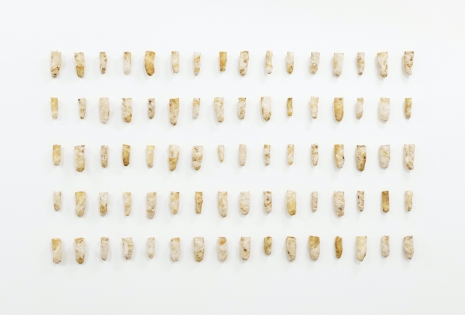 Sonya Kelliher-Combs, Natural Small Secrets, 2026 , Andrew Kreps Gallery