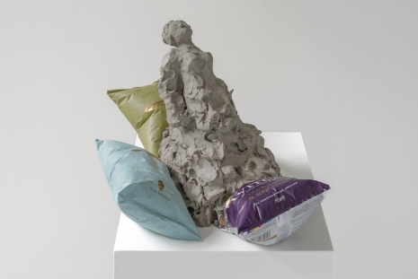 Nicole Wermers, Fainter on posh crisps (Wasabi, Black Garlic & Sour Cream, Salt & Vinegar), , Andersen’s