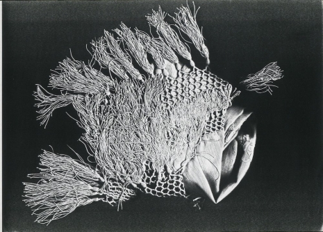 Pati Hill, Untitled (scarf), 1983, Andersen’s