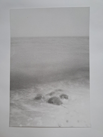 Jochen Lempert , Horseshoe-Crabs with LED Light, 2025 , Anton Kern Gallery