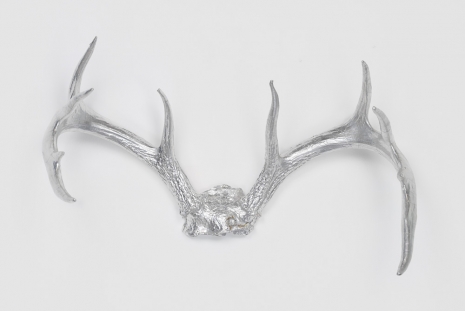 Michael Joo , Foil (White Tail #1), 1997 , Anton Kern Gallery