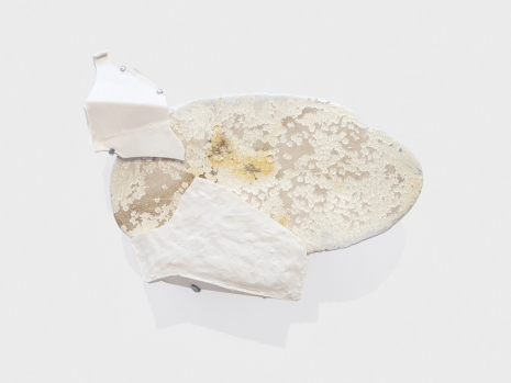 Liz Larner , Inelastic liberty, 2025 , Anton Kern Gallery