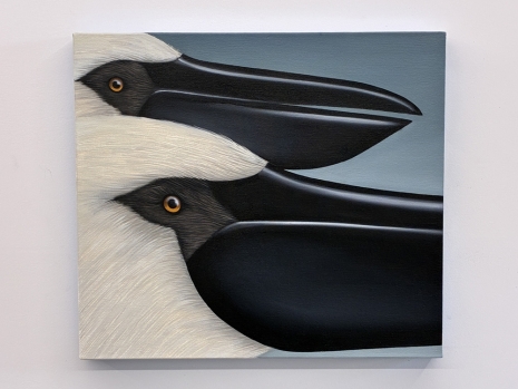 Julie Curtiss , white pelicans and black doves, 2026 , Anton Kern Gallery