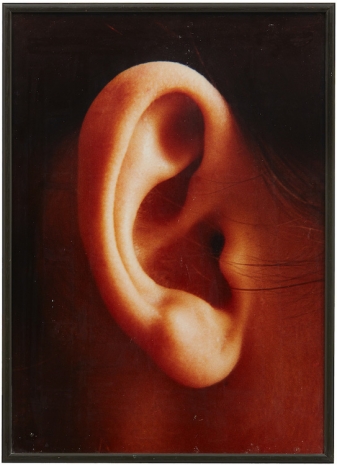 Isa Genzken, Ohr (Ear), 1980 , Galerie Buchholz