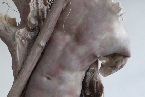 Berlinde De Bruyckere, San S., 2025-2026, 2026 (detail), Pedro Cera