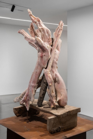 Berlinde De Bruyckere, San S., 2025-2026, 2026 , Pedro Cera