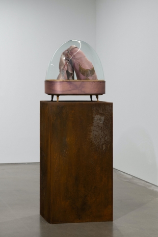 Berlinde De Bruyckere, Madonna del Parto IV, 2026, 2026, Pedro Cera