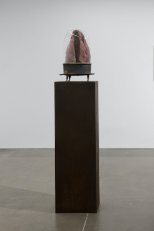 Berlinde De Bruyckere, Madonna del Parto V, 2026, 2026 , Pedro Cera