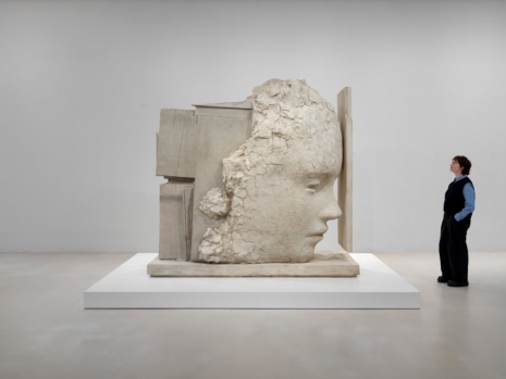 Mark Manders, , , Tanya Bonakdar Gallery