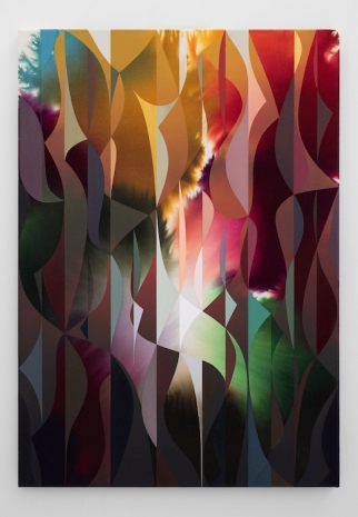 Giacomo Santiago Rogado, Accord (flora), 2026, BERNHARD KNAUS FINE ART
