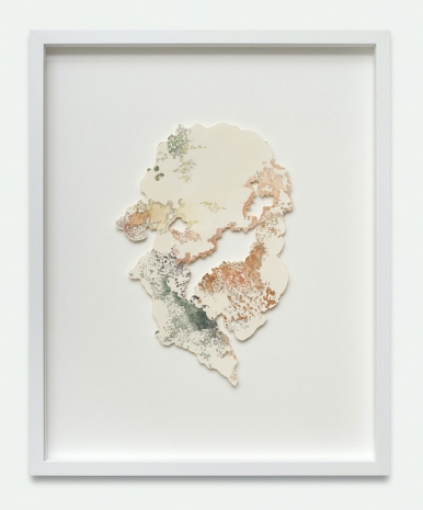 Verena Freyschmidt, Rhizome Polychrome 1, 2024 , BERNHARD KNAUS FINE ART