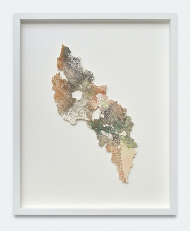 Verena Freyschmidt, Rhizome Polychrome 2, 2024, BERNHARD KNAUS FINE ART