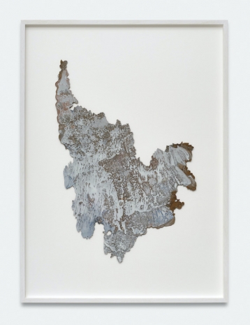 Verena Freyschmidt, Earth Rhizome, 2024 , BERNHARD KNAUS FINE ART