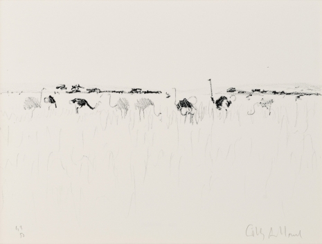 Gilles Aillaud , Autruche, LXII, 1989, Loevenbruck