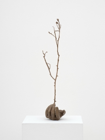 Kelly Akashi, Witness (Highview), 2026 , Lisson Gallery
