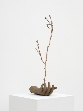 Kelly Akashi, Witness (Highview), 2026 , Lisson Gallery