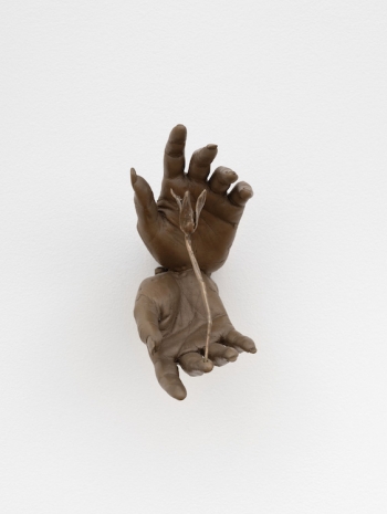 Kelly Akashi, Witness (Highview), 2026 , Lisson Gallery