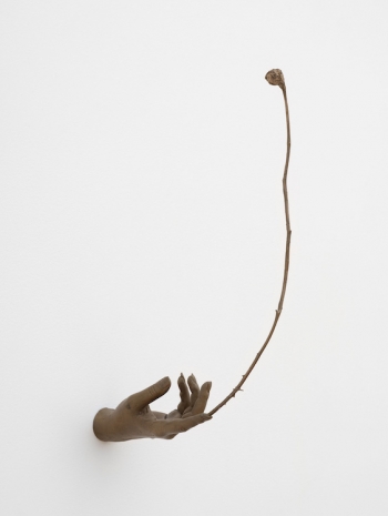 Kelly Akashi, Witness (Highview), 2026 , Lisson Gallery