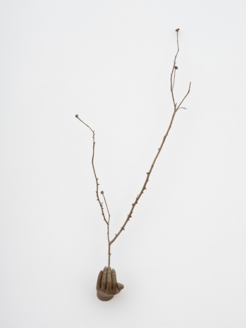 Kelly Akashi, Witness (Highview), 2026 , Lisson Gallery