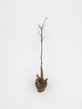 Kelly Akashi, Witness (Highview), 2026 , Lisson Gallery