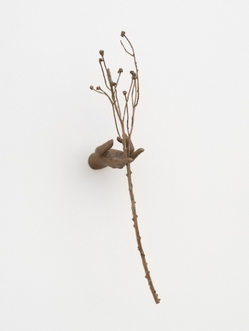 Kelly Akashi, Witness (Highview), 2026 , Lisson Gallery