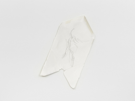 Spencer Finch, Gorgeous Nothing 5, 2026 , Lisson Gallery