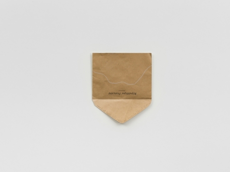 Spencer Finch, Gorgeous Nothing 22, 2026 , Lisson Gallery